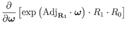 $\displaystyle \dfrac{\partial}{\partial\mathbf{\boldsymbol{\omega}}}\left[\exp\...
...bf{R}_{1}}\cdot\mathbf{\boldsymbol{\omega}}\right)\cdot R_{1}\cdot R_{0}\right]$