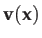 $ \mathbf{v}(\mathbf{x})$
